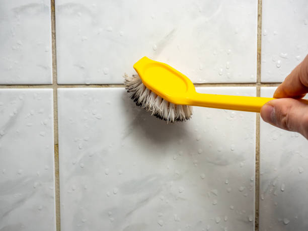 Best Home Mold Removal  in Wendover, UT