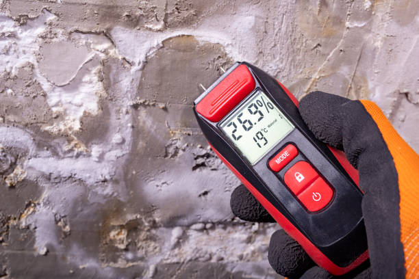 Best Water Damage Restoration  in Wendover, UT