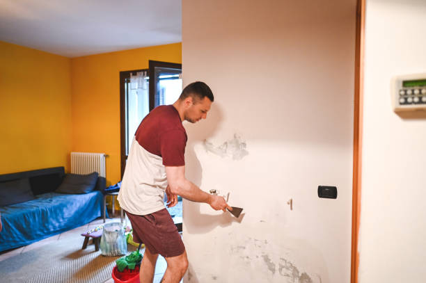Best Mold Remediation  in Wendover, UT